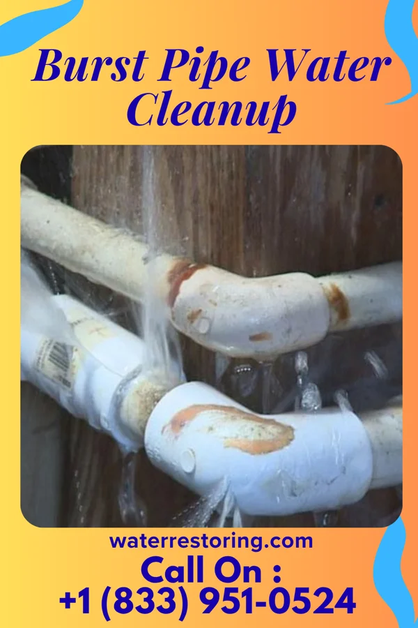 Burst Pipe Water Cleanup in Laurel Bay, SC