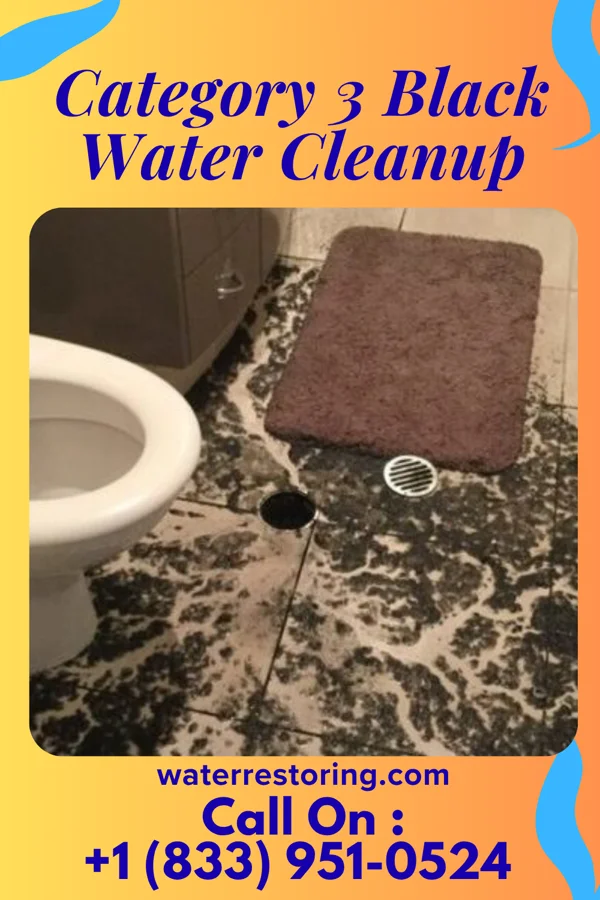 Category 3 Black Water Cleanup in Laurel Bay, SC
